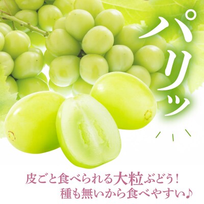 【先行受付】 令和8年産 シャインマスカット 1房 約700g