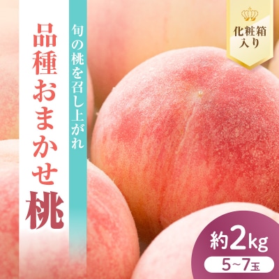 【先行受付】 数量限定 令和8年産 もも 品種 おまかせ 約2kg 5～7玉