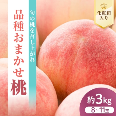 【先行受付】数量限定 令和8年産 もも 品種 おまかせ 約3kg 8～11玉