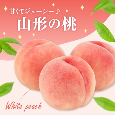 【先行受付】数量限定 令和8年産 もも 品種 おまかせ 約3kg 8～11玉