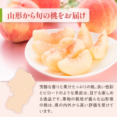 【先行受付】数量限定 令和8年産 もも 品種 おまかせ 約3kg 8～11玉