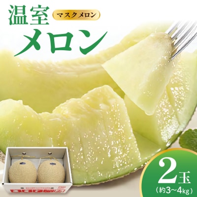 【先行受付】 数量限定 令和8年産 温室 メロン マスクメロン 2玉 (約3～4kg)