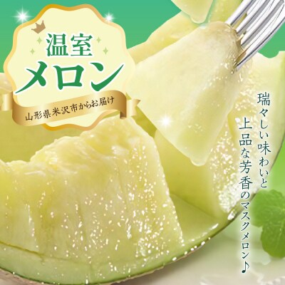 【先行受付】 数量限定 令和8年産 温室 メロン マスクメロン 2玉 (約3～4kg)