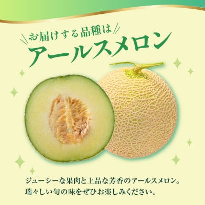 【先行受付】 数量限定 令和8年産 温室 メロン マスクメロン 2玉 (約3～4kg)