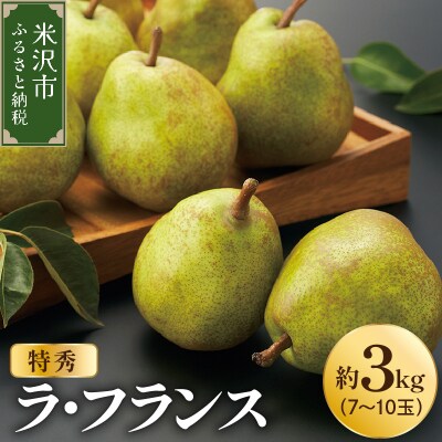 【先行予約】令和8年産 ラ・フランス 特秀 約3kg 7玉 ～ 10玉
