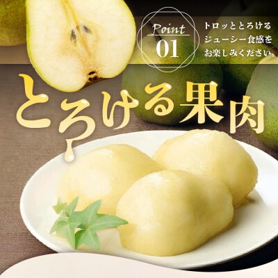 【先行予約】令和8年産 ラ・フランス 特秀 約3kg 7玉 ～ 10玉