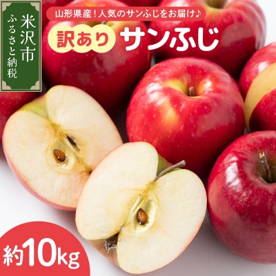 【先行予約】令和8年産 訳あり りんご サンふじ 約10kg 玉数 お任せ ご家庭用
