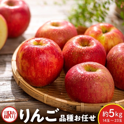 【先行受付】 令和8年産 訳あり りんご 品種 お任せ 約5kg 14玉 ～ 23玉 ご家庭用
