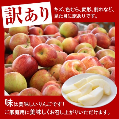 【先行受付】 令和8年産 訳あり りんご 品種 お任せ 約5kg 14玉 ～ 23玉 ご家庭用
