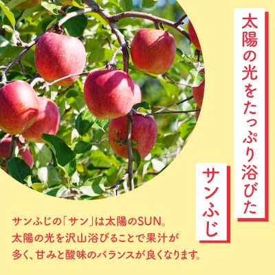 【先行予約】 令和8年産 りんご サンふじ 秀品 約2kg 5玉 ～ 8玉