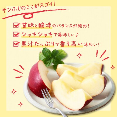 【先行予約】 令和8年産 りんご サンふじ 秀品 約2kg 5玉 ～ 8玉