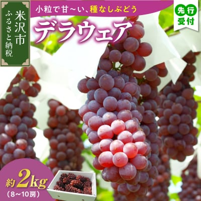 【先行受付】令和8年産 ぶどう デラウェア 2kg ( 8～10房 )
