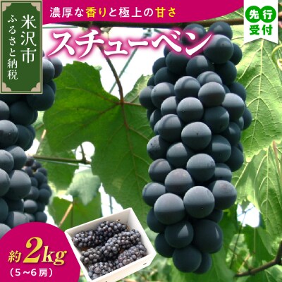 【先行受付】令和8年産 ぶどう スチューベン ( 種あり ) 2kg ( 5～6房 )