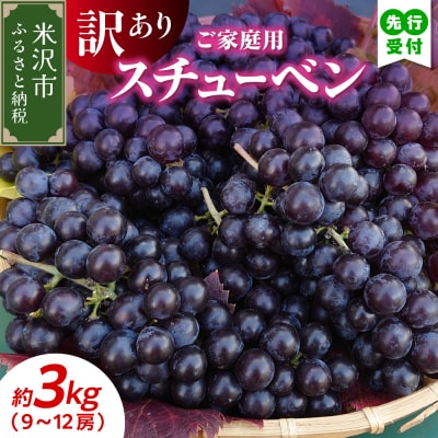 【先行受付】令和8年産 家庭用 訳あり ぶどう スチューベン(種あり)3kg(9～12房)
