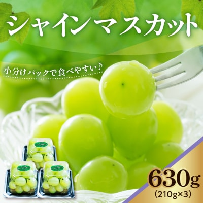 【先行受付】【数量限定】 令和8年産 シャインマスカット 210g×3パック 計630g