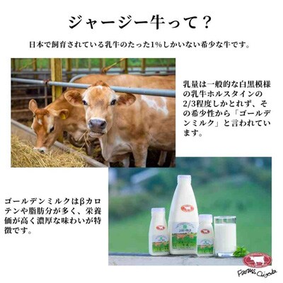 バター ジャージー100g×5個 セット ファームズ千代田
