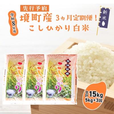 【3ヶ月連続定期便】米 白米 コシヒカリ 計15kg(5kg×3回) 令和8年産 国産 茨城県 境町