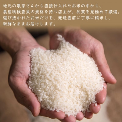 【3ヶ月連続定期便】米 白米 コシヒカリ 計15kg(5kg×3回) 令和8年産 国産 茨城県 境町
