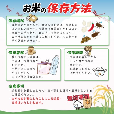 【3ヶ月連続定期便】米 白米 コシヒカリ 計15kg(5kg×3回) 令和8年産 国産 茨城県 境町