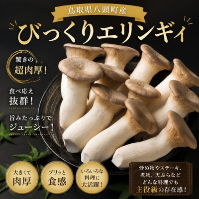 八頭町産きのこのバラエティーセット