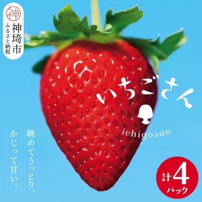【2027年1月中旬より発送開始】いちごさん4パック(H116133)