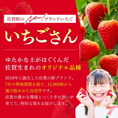 【2027年1月中旬より発送開始】いちごさん4パック(H116133)