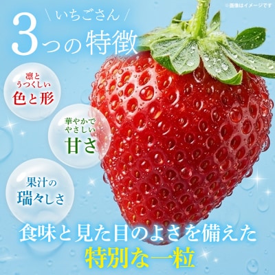 【2027年1月中旬より発送開始】いちごさん4パック(H116133)