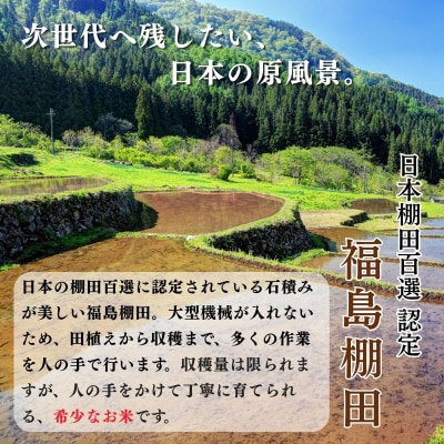 【数量限定】《 令和8年産 新米 》 棚田米 ゆうだい21 精米 5kg 福島棚田