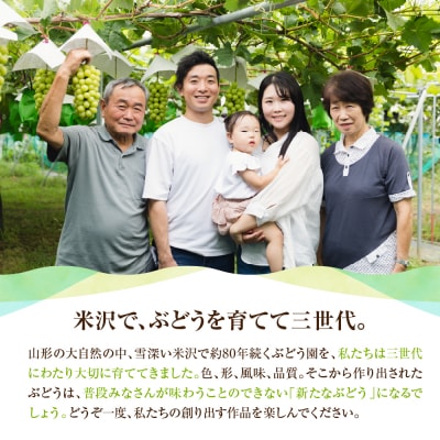【先行受付】 定期便 令和8年産 大玉 シャインマスカット 2房(1.4kg)×2回