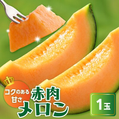 【先行受付】 令和8年産 赤肉メロン ( クインシー719 ) 1玉 2kg以上