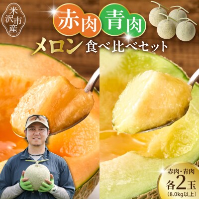 【先行受付】 令和8年産 赤肉青肉メロン 食べ比べ 2セット 各2玉 計4玉 8kg以上