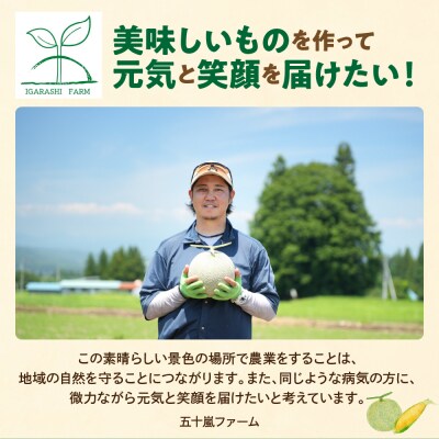 【先行受付】 令和8年産 赤肉青肉メロン 食べ比べ 2セット 各2玉 計4玉 8kg以上