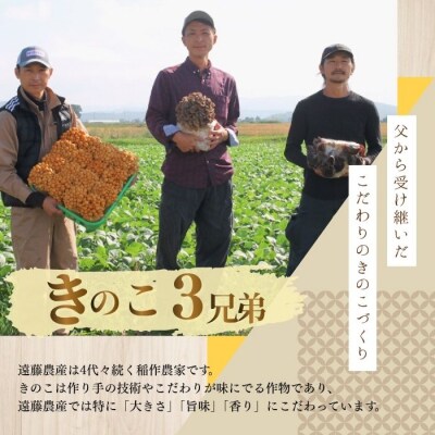 きのこ3種セット 計960g ジャンボまいたけ なめこ きくらげ【遠藤農産】