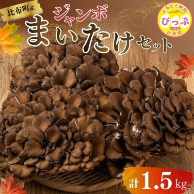 ジャンボまいたけ 1.5kg(500g×3)セット【遠藤農産】