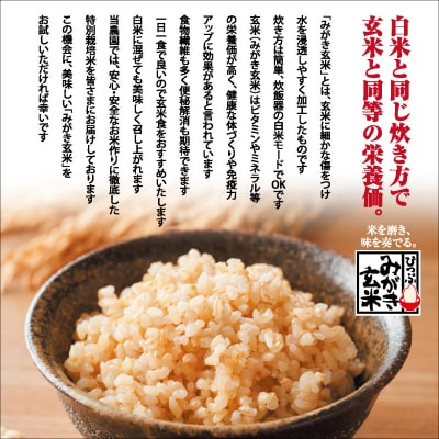 令和7年産 特別栽培米 おぼろづき みがき玄米 5kg 【西間農園】1005-011