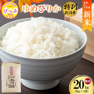 【先行受付】【西間農園】特別栽培米 ゆめぴりか 精米 20kg【1月から2月上旬発送】 