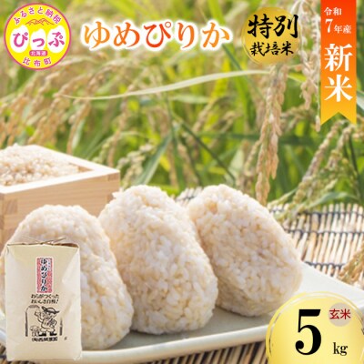 【先行受付】【西間農園】特別栽培米 ゆめぴりか みがき玄米 5kg【12月から1月上旬発送】