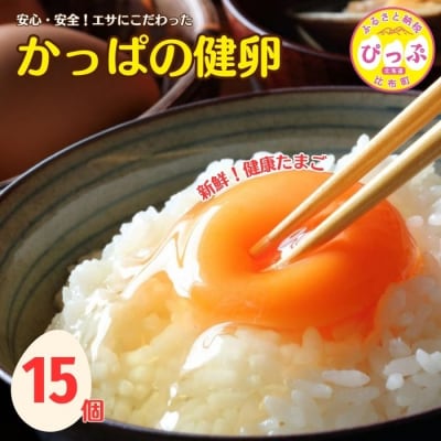 かっぱの健卵 15個【大熊養鶏場】 鶏卵 卵 たまご 1006-001