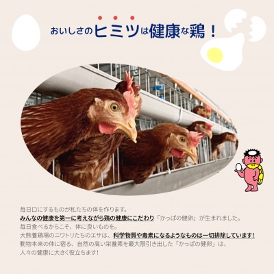 かっぱの健卵 30個 3か月定期便【大熊養鶏場】 鶏卵 卵 たまご 1006-006