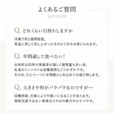 2026年発送 金賞受賞 北海道フルーツミニトマト【ジェルバ】2.5kg【Farm of Soul】