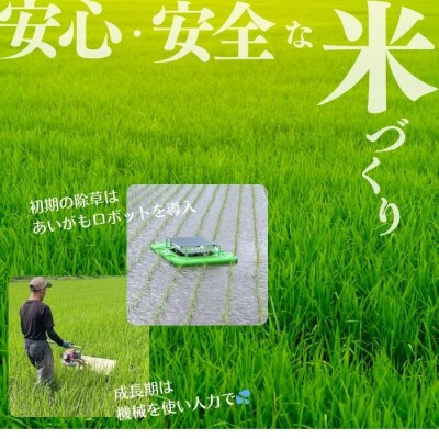 令和7年産 今野農園 ゆめぴりか 精米10kg【ピリカ(株)】