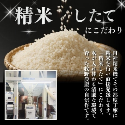令和7年産 牧野農産 ななつぼし 精米20kg
