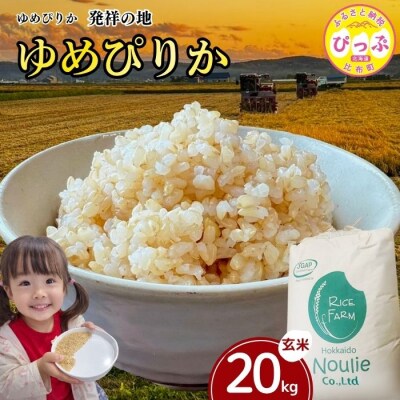 令和7年産 ゆめぴりか玄米 20kg【農業生産法人ノウリエ】1017-009