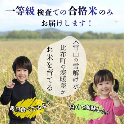令和7年産 ゆめぴりか玄米 30kg 【ノウリエ】1017-010