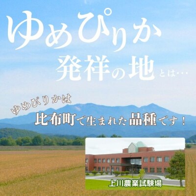 2025年産ノウリエ ゆめぴりか玄米30kg 1017-010
