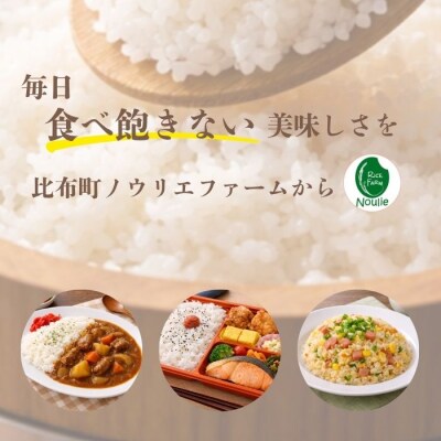 2025年産ノウリエ ななつぼし玄米30kg 1017-016
