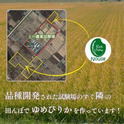 令和8年産 ゆめぴりか精米 10kg【農業生産法人ノウリエ】1017-021
