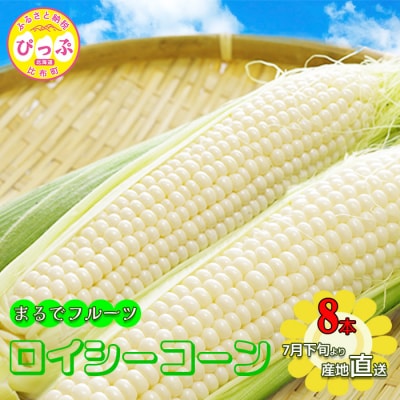 【2026年7月下旬頃発送】ロイシーコーン 8本【たかだ畑】 1018-001