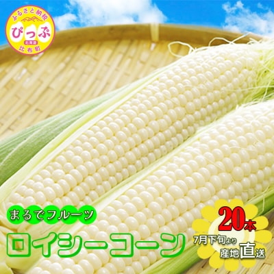 【2026年7月下旬頃発送】ロイシーコーン 20本【たかだ畑】 1018-002