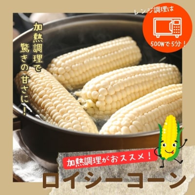 【2026年7月下旬頃発送】ロイシーコーン 20本【たかだ畑】 1018-002